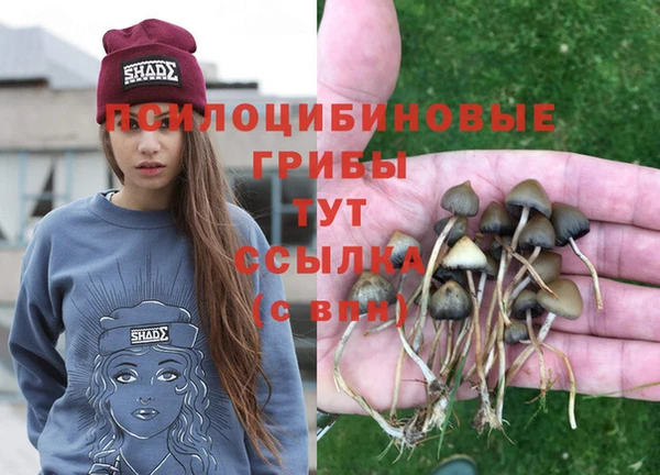 каннабис Армянск