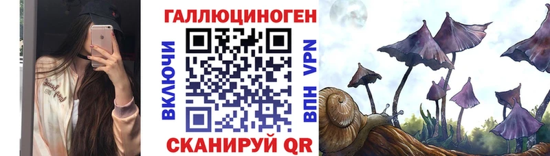 Купить  Суоярви  Галлюциногенные грибы прущие грибы 